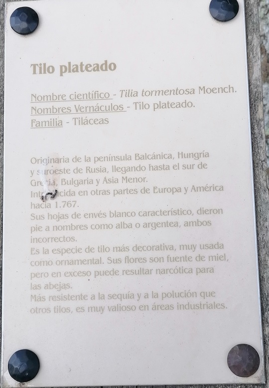 Tilo