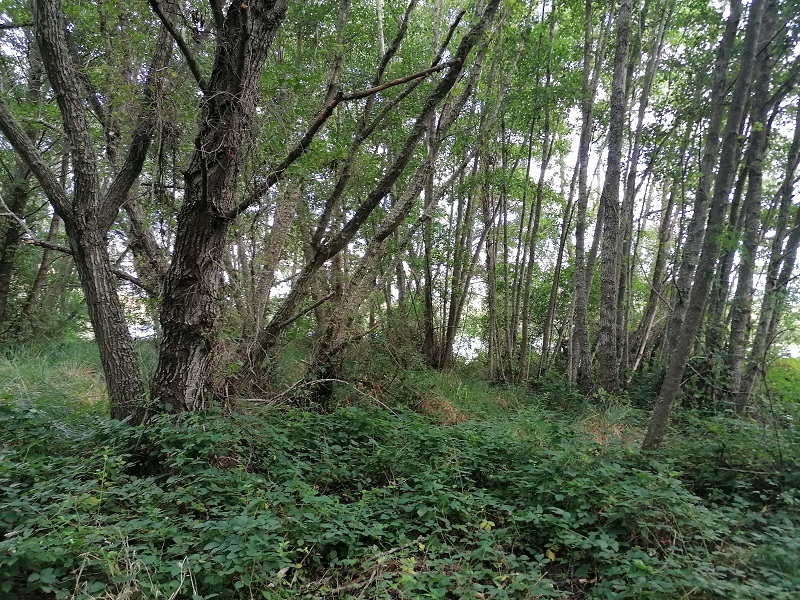 Valle Tera